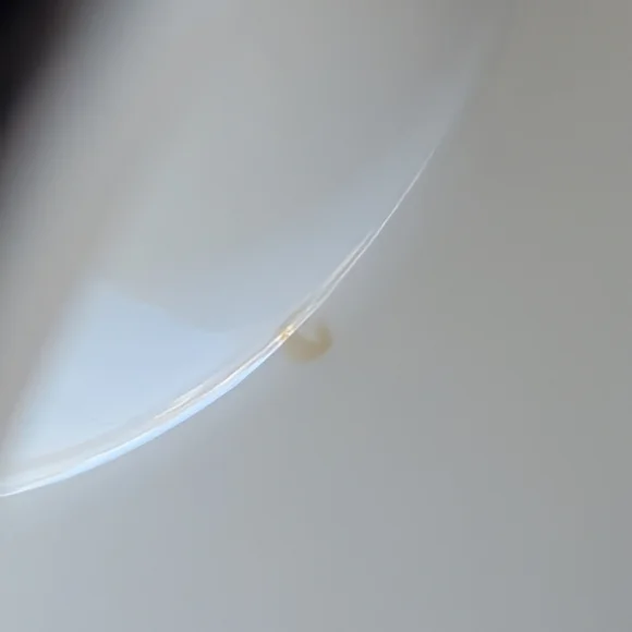 2008 Release Starbucks 35th Anniversary Siren Mermaid Coffee Mug - 12oz - Picture 7 of 9